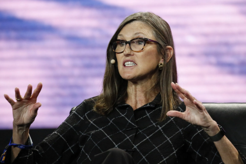 Cathie Wood: Bold AI Bets, Tech Stock Moves & Tesla Strategy Explained (2026 Guide)